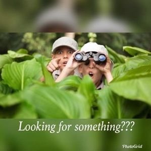 All kinds of items in my closet,adding more daily!